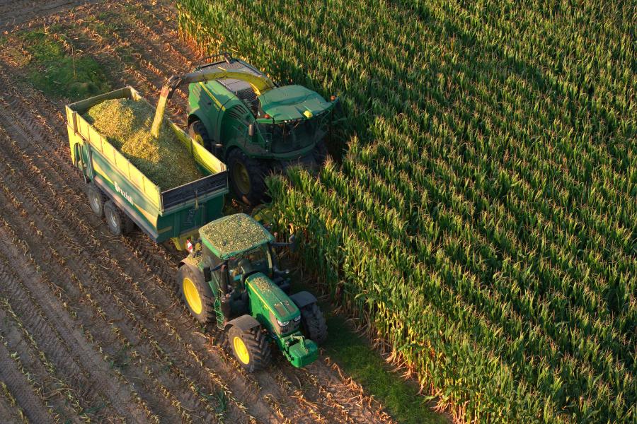 CDP Arborea Trinciatura Mais