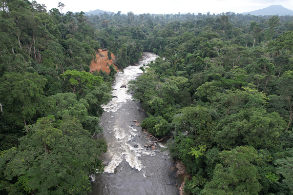 Renewables: investing in Africa with AREF II