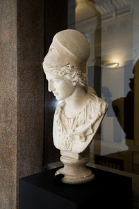 Busto di Minerva (tipo Giustiniani) calco di gesso cm73x37x33