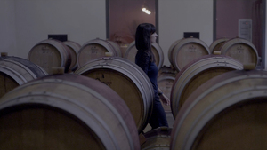 Botti di vino Antinori