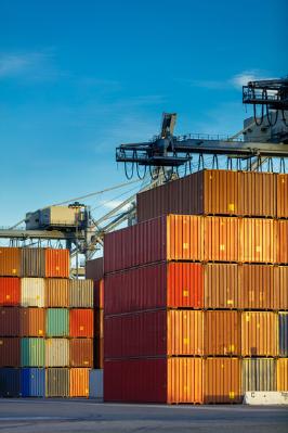 Container colorati in un porto con gru e gru a braccio sullo sfondo.