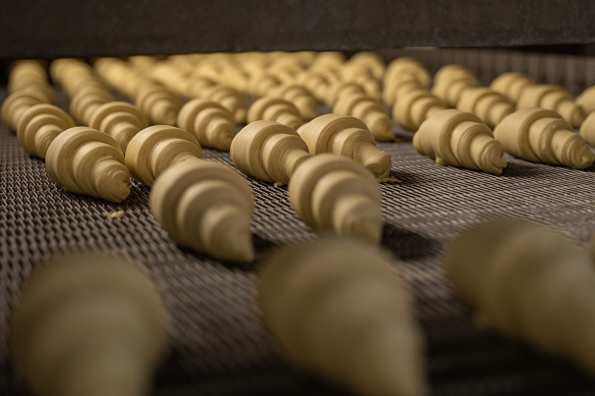 Cornetti in lievitazione
