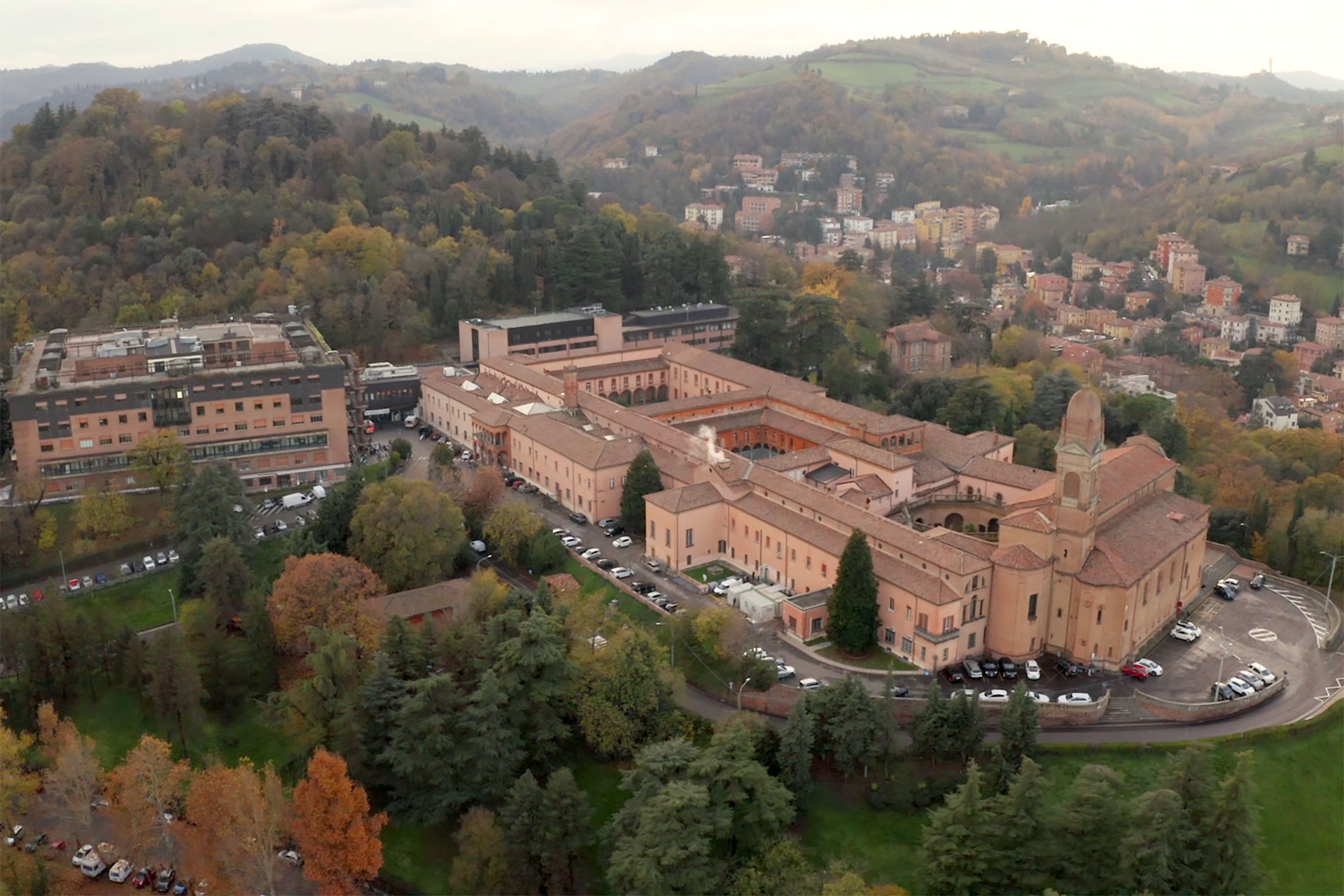 IRCCS Istituto Ortopedico Rizzoli (IOR)