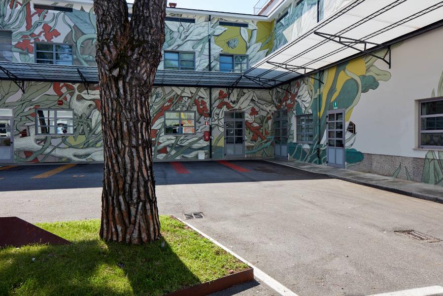 spazio aperto con un albero e murales
