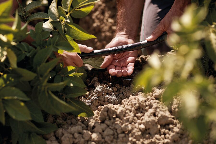 mani che lavorano la terra