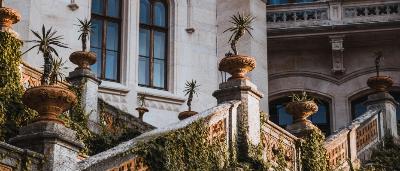 Scale monumentali in un edificio storico con dettagli dorati e piante rampicanti.