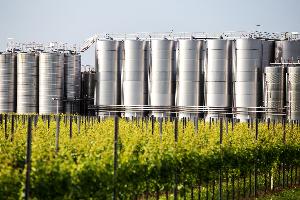 cantine Ermes