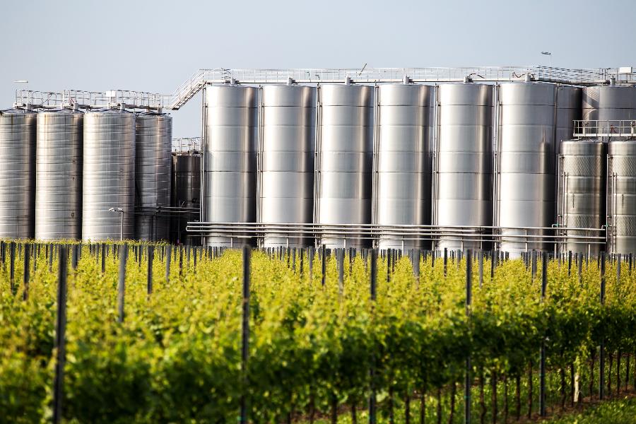 cantine Ermes
