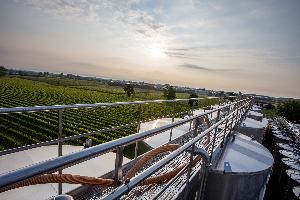 cantine Ermes visto dall'alto