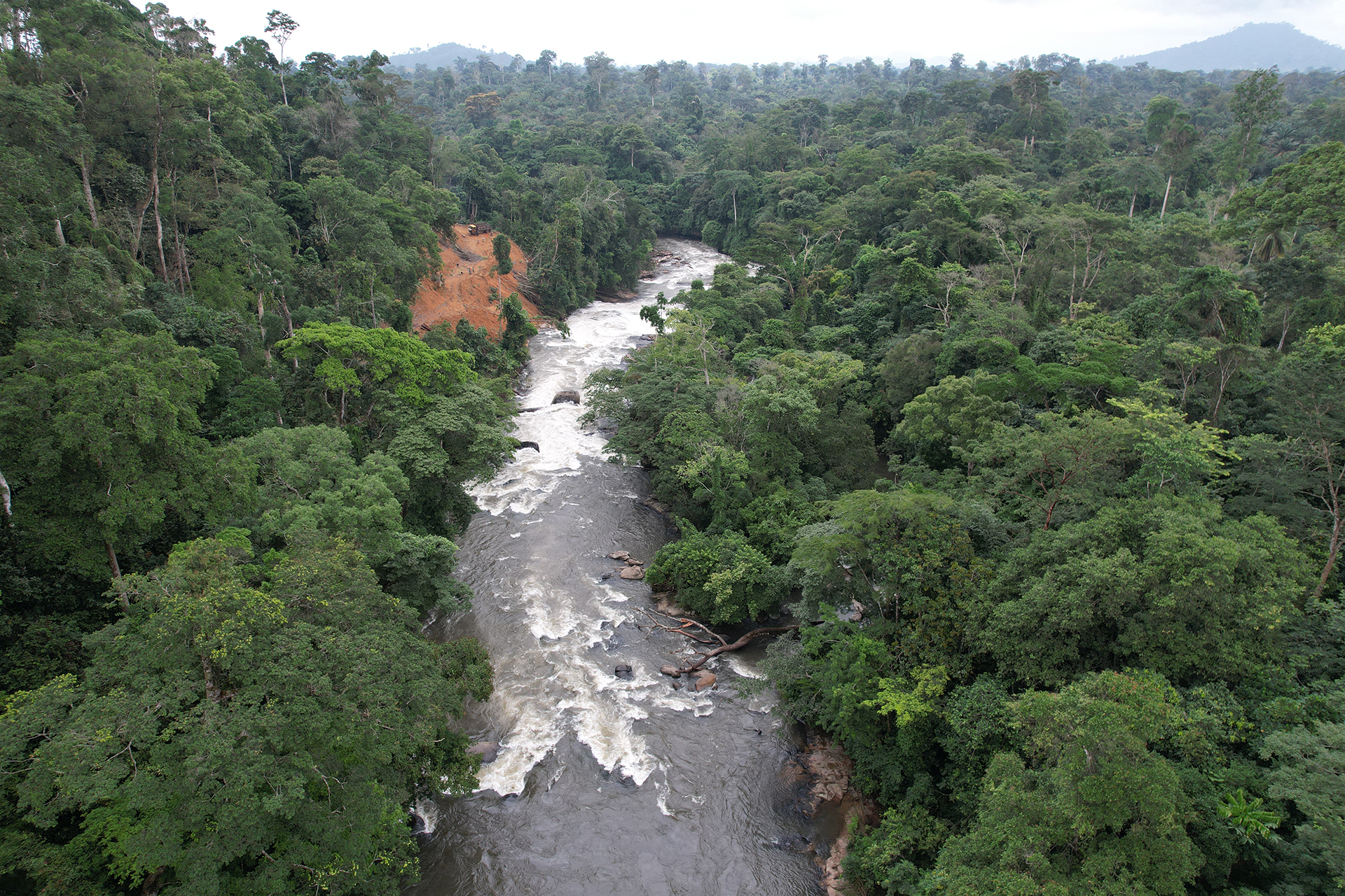 Fiume che attraversa una foresta tropicale vista dall’alto.