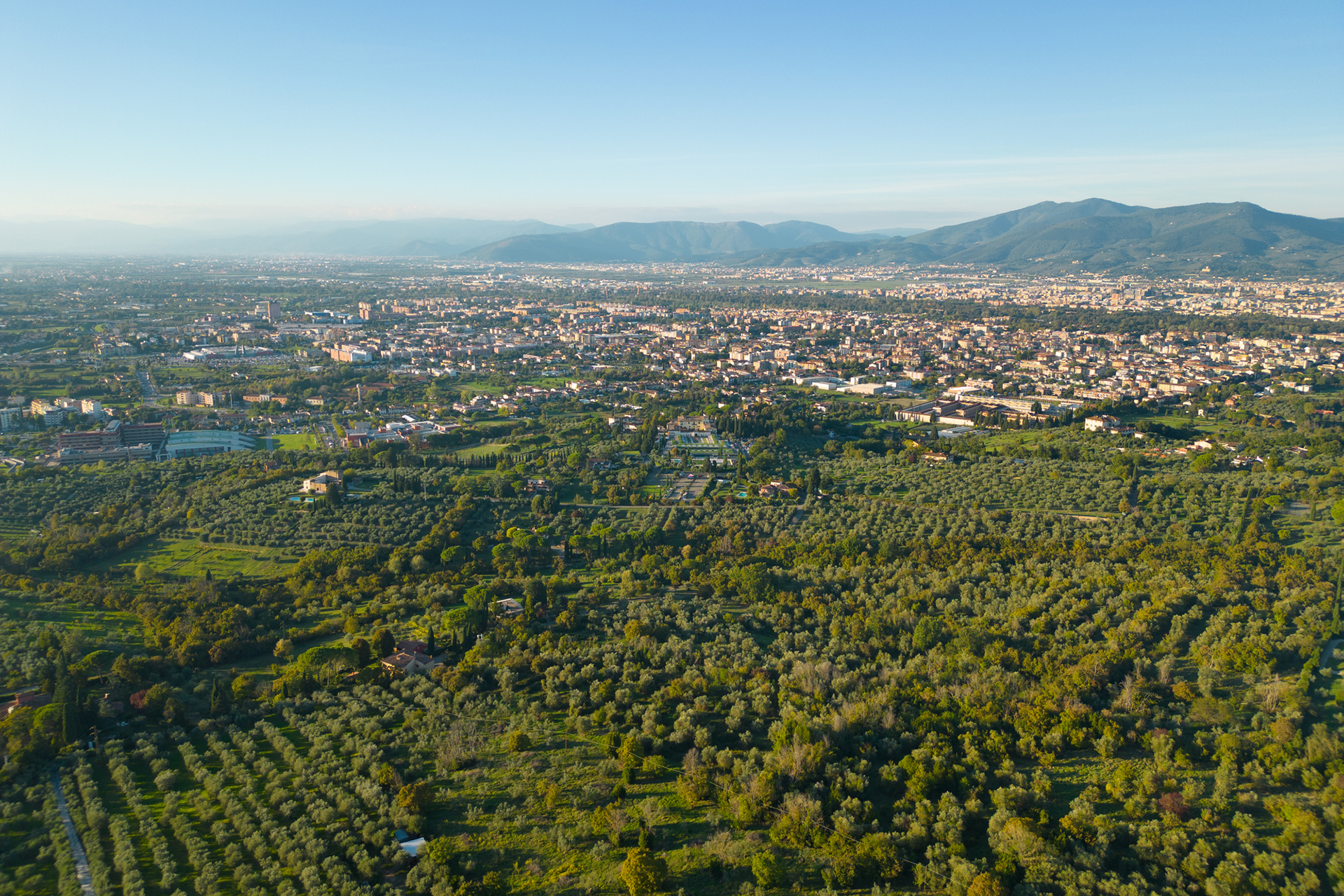 Montagne verdi