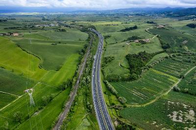 Veduta aerea di una strada che attraversa colline verdi e campi agricoli con coltivazioni a file.